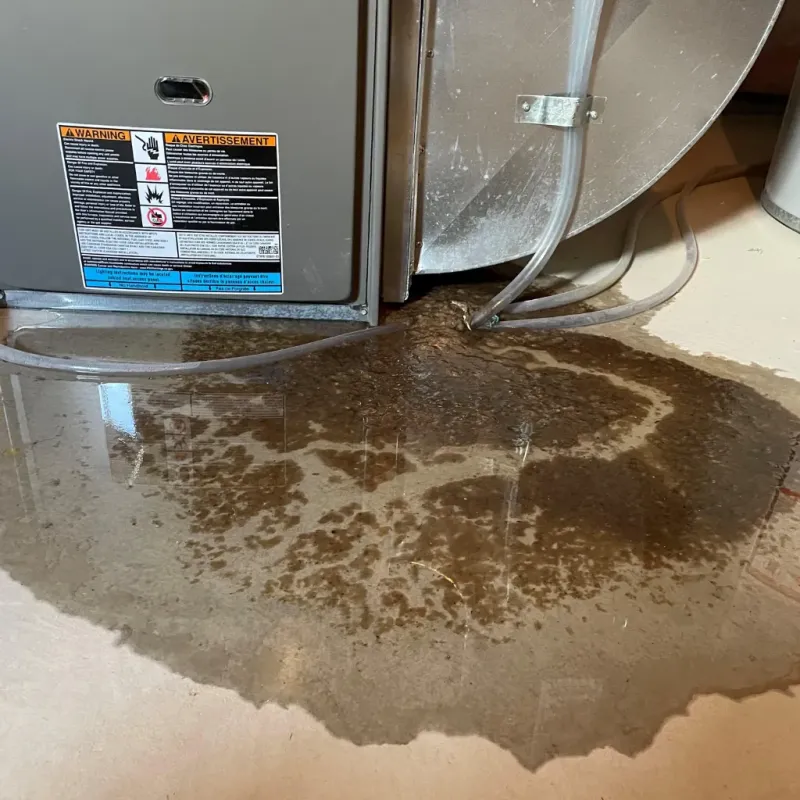 Appliance Leak Cleanup in Sebewaing, MI